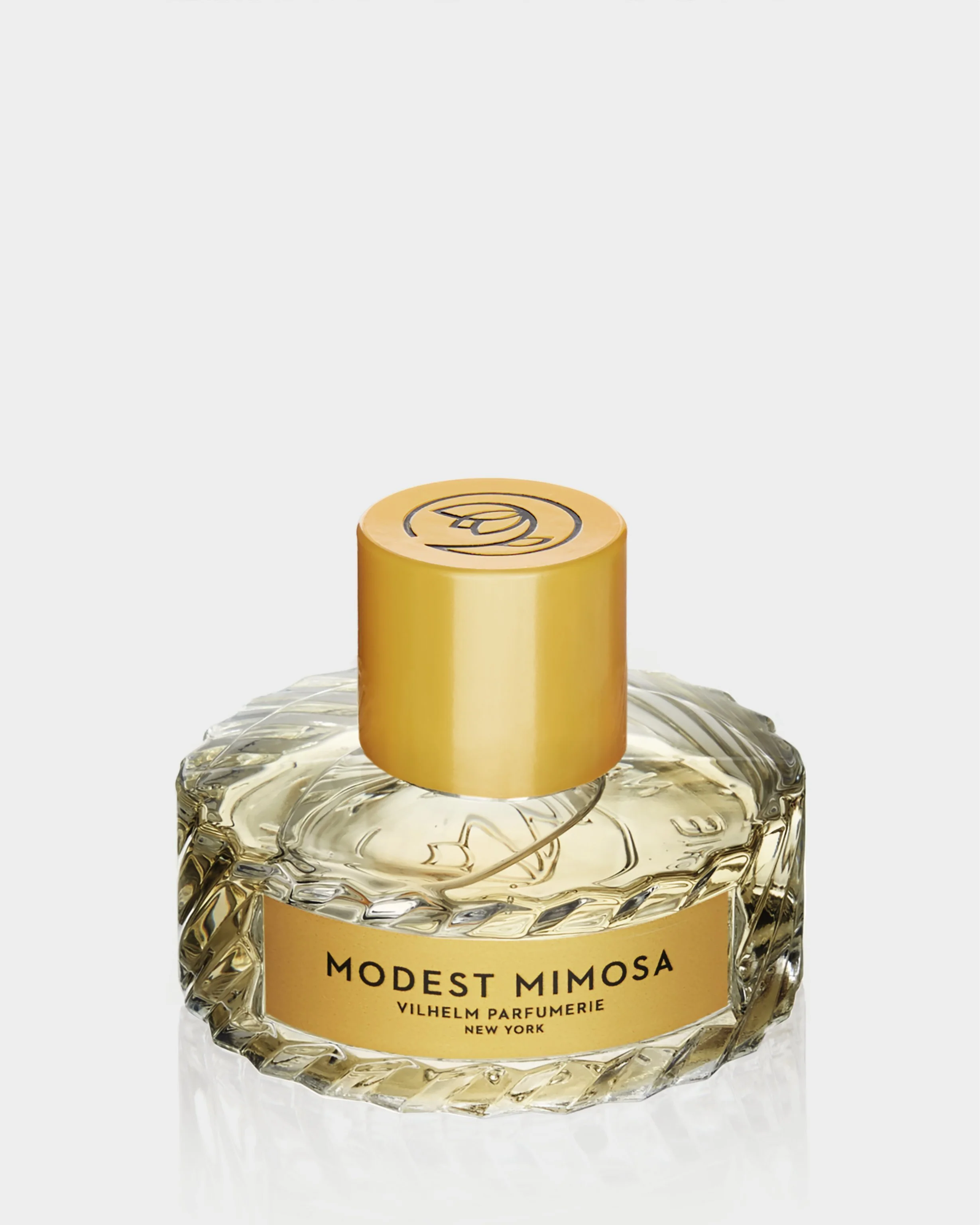 MODEST MIMOSA - Image 5